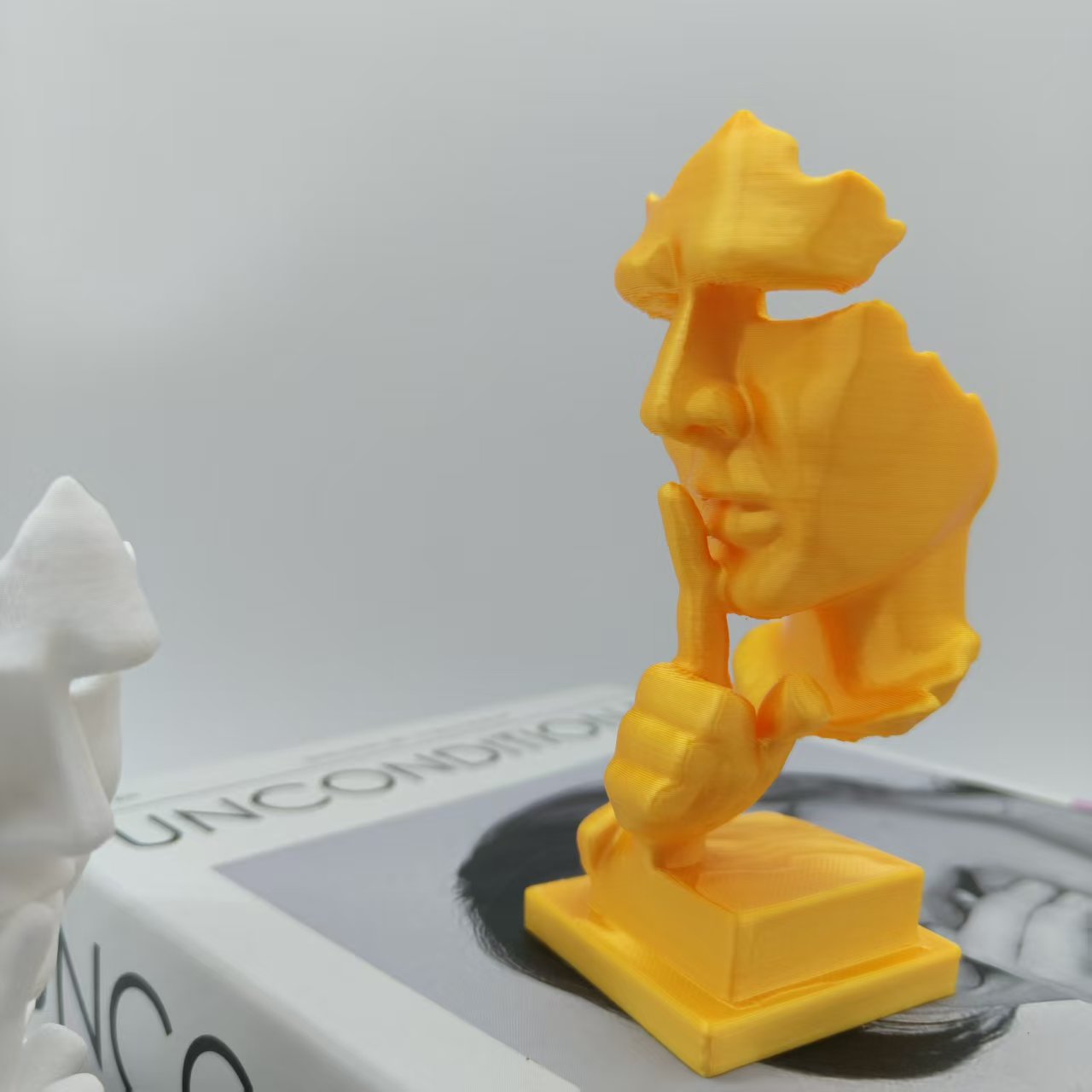 Düşünür Heykeli, Sessizlik Alt - 3D Printing Household Items incelemesi ve fiyatı