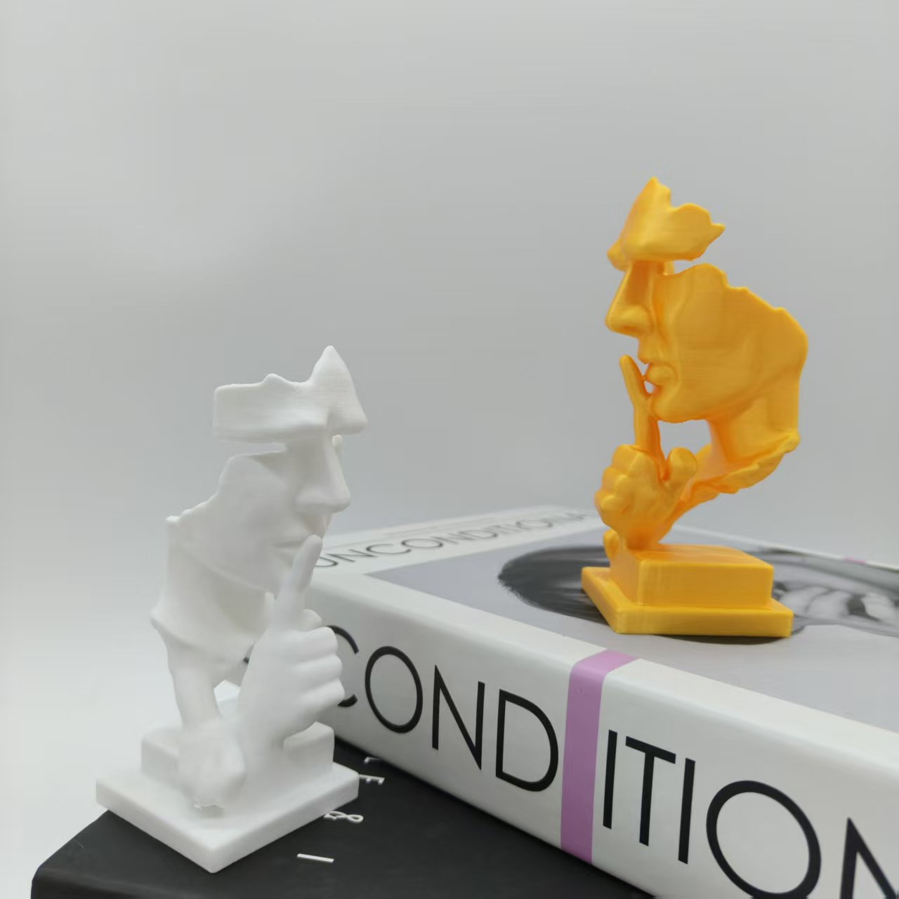 Düşünür Heykeli, Sessizlik Alt - 3D Printing Household Items incelemesi ve fiyatı