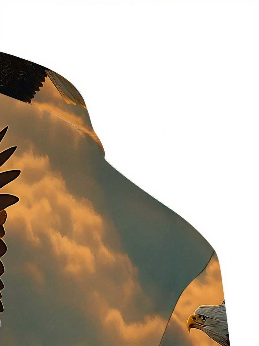 Soaring Eagle 3D Baskı Erkek G - 3D Printing Eagle incelemesi ve fiyatı
