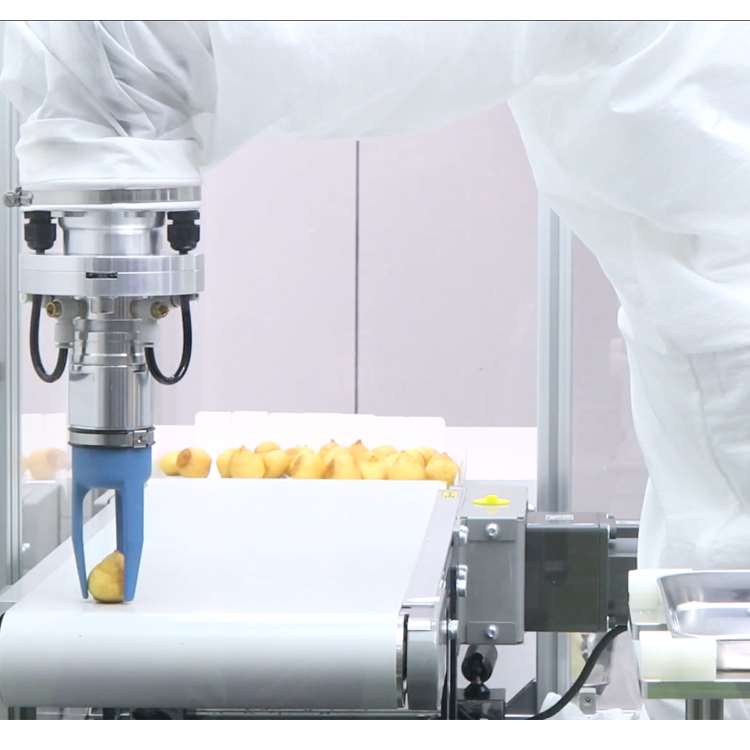 6 Eksenli CNC Robotik Kol, Lin - Linear Guide Rail incelemesi ve fiyatı